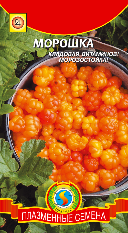 Морошка - Плазменные семена