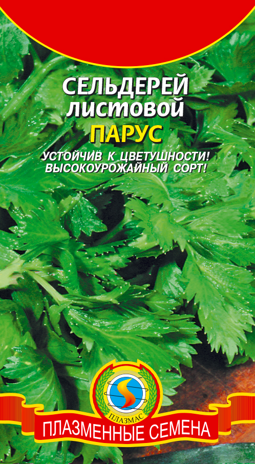 Сельдерей листовой ПАРУС - Плазменные семена